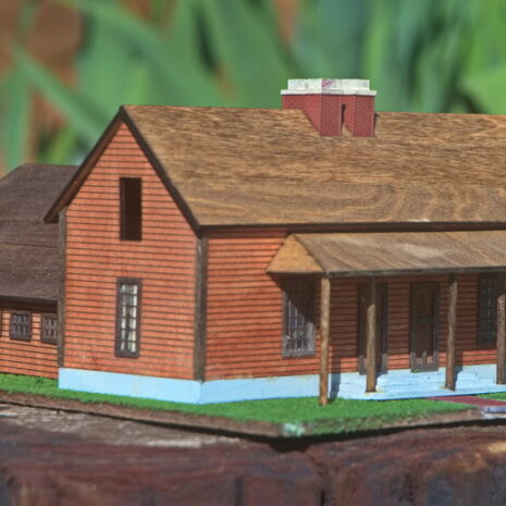 _DSC9825_2 _DSC9825_2