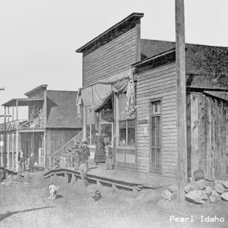 _0THIS pearl id trim _0THIS pearl id trim